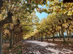 Parque de Navarra en Aoiz