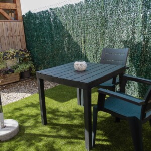 Terraza 2