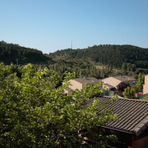 Vistas 3