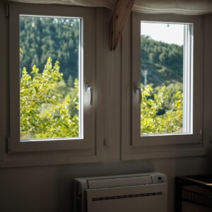 Vistas